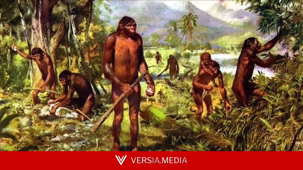 بحث علمي يعيد النظر في أسباب نمو الدماغ البشري وانكماش الوجه